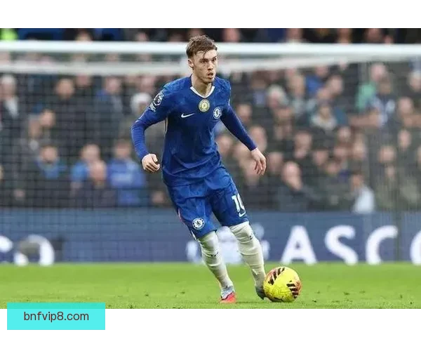 理查兹认为曼城以4000万出售帕尔默划算但倾向于租借他继续培养